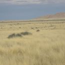Namibia 02.2012. 053